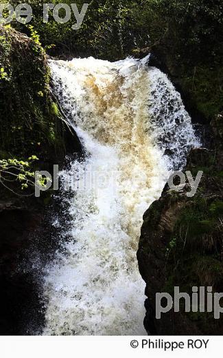 CASCADE DE GIMEL,  GORGES DE LA MONTANE, CORREZE, LIMOUSIN. (19F04416.jpg)
