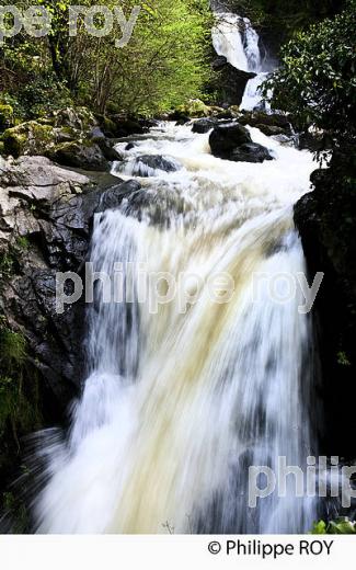 CASCADE DE GIMEL,  GORGES DE LA MONTANE, CORREZE, LIMOUSIN. (19F04418.jpg)