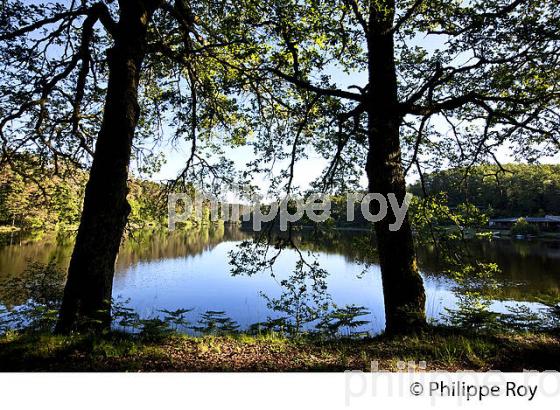 ETANG DE RUFFAUD,  GORGES DE LA MONTANE, GIMEL, CORREZE, (19F04429.jpg)
