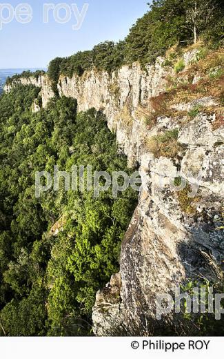 LES ORGUES DE BORT LES ORGUES, HAUTE  VALLEE DE LA DORDOGNE, CORREZE. (19F04927.jpg)