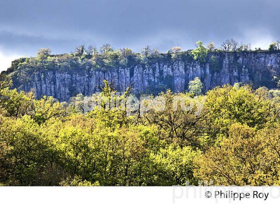 LES ORGUES DE BORT LES ORGUES, HAUTE  VALLEE DE LA DORDOGNE, CORREZE. (19F04934.jpg)