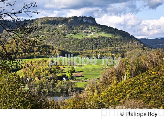 LES ORGUES DE BORT LES ORGUES, HAUTE  VALLEE DE LA DORDOGNE, CORREZE. (19F04937.jpg)