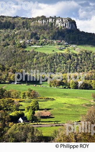 LES ORGUES DE BORT LES ORGUES, HAUTE  VALLEE DE LA DORDOGNE, CORREZE. (19F04939.jpg)