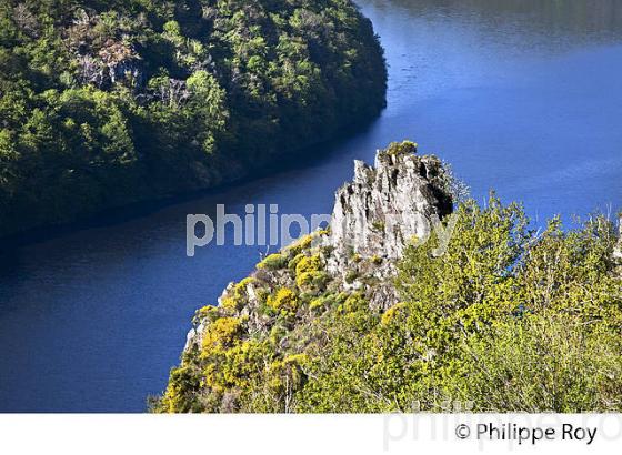 BELVEDERE DE GRATTE BRUYERE, HAUTE  VALLEE DE LA DORDOGNE, CORREZE. (19F05106.jpg)