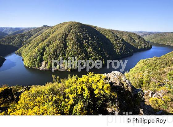 BELVEDERE DE GRATTE BRUYERE, HAUTE  VALLEE DE LA DORDOGNE, CORREZE. (19F05109.jpg)