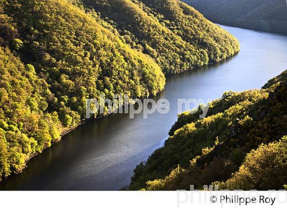 BELVEDERE DE GRATTE BRUYERE, HAUTE  VALLEE DE LA DORDOGNE, CORREZE. (19F05112.jpg)