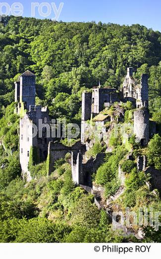 LES TOURS DE MERLE, XAINTRIE,   HAUTE  VALLEE DE LA DORDOGNE,  CORREZE. (19F05405.jpg)