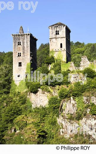 LES TOURS DE MERLE, XAINTRIE,   HAUTE  VALLEE DE LA DORDOGNE,  CORREZE. (19F05411.jpg)