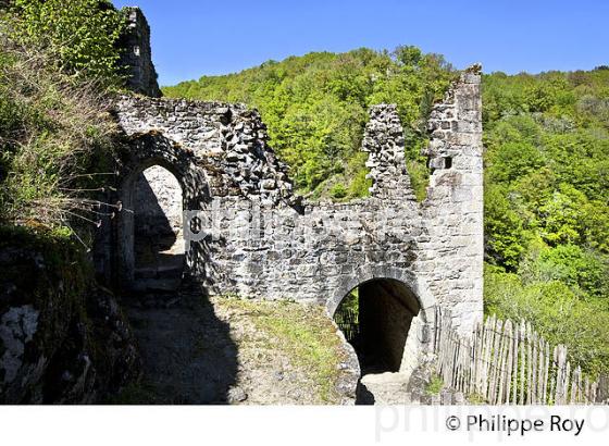 LES TOURS DE MERLE, XAINTRIE,   HAUTE  VALLEE DE LA DORDOGNE,  CORREZE. (19F05417.jpg)