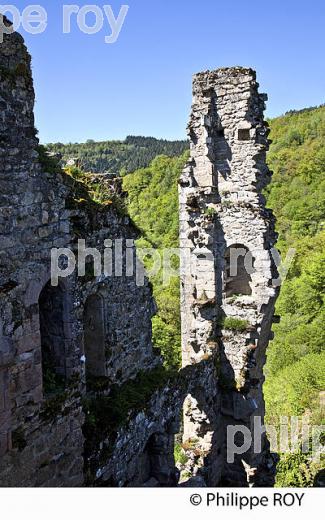 LES TOURS DE MERLE, XAINTRIE,   HAUTE  VALLEE DE LA DORDOGNE,  CORREZE. (19F05420.jpg)