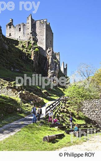LES TOURS DE MERLE, XAINTRIE,   HAUTE  VALLEE DE LA DORDOGNE,  CORREZE. (19F05424.jpg)