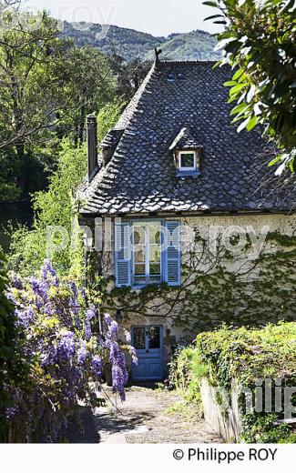 ARGENTAT SUR DORDOGNE,  HAUTE  VALLEE DE LA DORDOGNE,  CORREZE. (19F05721.jpg)