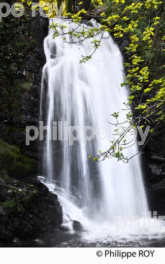 CASCADE DE MUREL,  HAUTE  VALLEE DE LA DORDOGNE,  CORREZE. (19F06004.jpg)