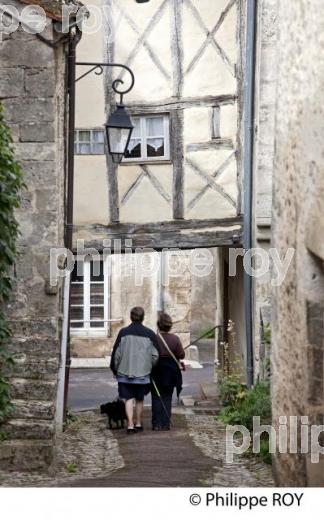 FLAVIGNY SUR OZERAIN, AUXOIS,  COTE D' OR, BOURGOGNE, FRANCE. (21F00812.jpg)