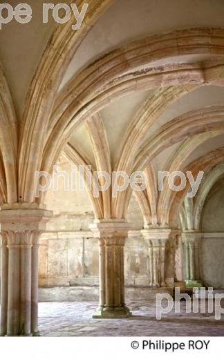 ABBAYE D EFONTENAY,   VALLEE DE L' ARMANCON, CANAL DE BOURGOGNE, COTE D' OR, FRANCE. (21F00909.jpg)