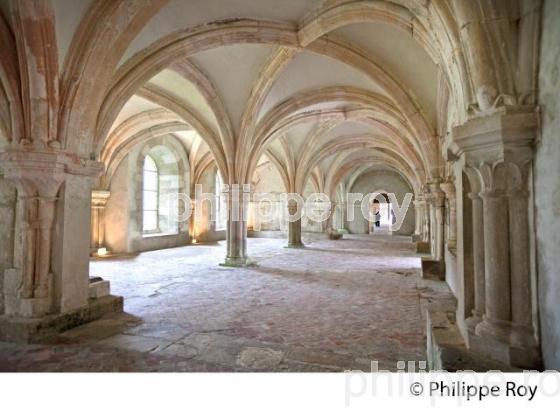 ABBAYE D EFONTENAY,   VALLEE DE L' ARMANCON, CANAL DE BOURGOGNE, COTE D' OR, FRANCE. (21F00912.jpg)