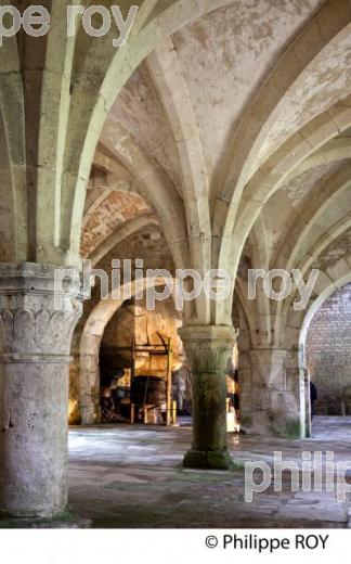 ABBAYE D EFONTENAY,   VALLEE DE L' ARMANCON, CANAL DE BOURGOGNE, COTE D' OR, FRANCE. (21F00913.jpg)
