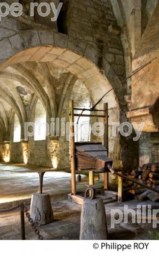 ABBAYE D EFONTENAY,   VALLEE DE L' ARMANCON, CANAL DE BOURGOGNE, COTE D' OR, FRANCE. (21F00917.jpg)