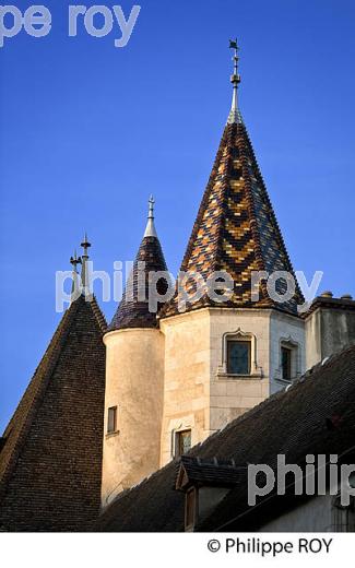 HOTEL DE SAULX, BEAUNE, COTE D' OR , BOURGOGNE. (21F01317.jpg)