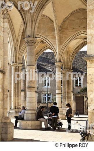 COLLEGIALE NOTRE DAME,  BEAUNE, COTE D' OR , BOURGOGNE. (21F01403.jpg)