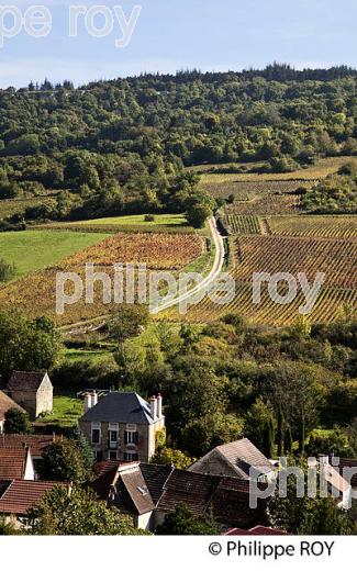VILLAGE DES COTES DE BEAUNE, VINS DE BOURGOGNE, COTE D' OR. (21F01423.jpg)