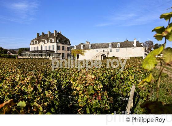 CHATEAU DE POMMARD, COTE DE BEAUNE, VINS DE BOURGOGNE, COTE D' OR. (21F01427.jpg)