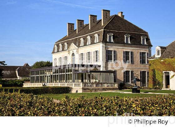 CHATEAU DE POMMARD, COTE DE BEAUNE, VINS DE BOURGOGNE, COTE D' OR. (21F01428.jpg)