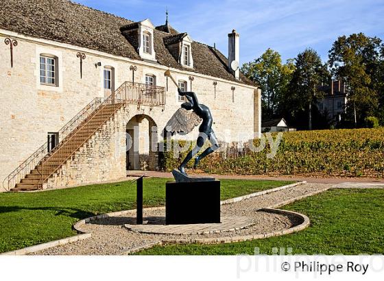 CHATEAU DE POMMARD, COTE DE BEAUNE, VINS DE BOURGOGNE, COTE D' OR. (21F01437.jpg)