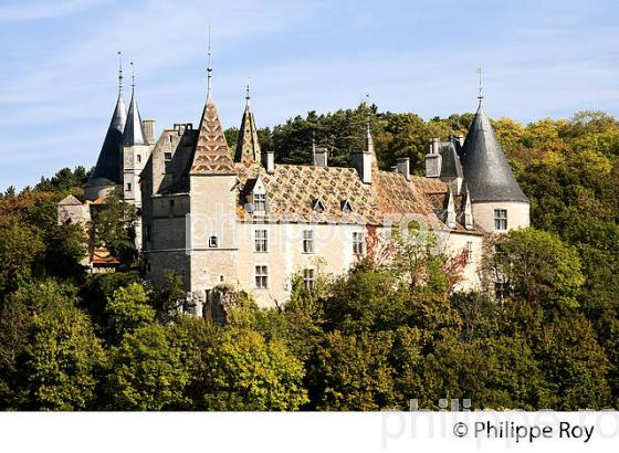 CHATEAU DE ROCHEPOT, COTE DE BEAUNE, VINS DE BOURGOGNE, COTE D' OR. (21F01537.jpg)