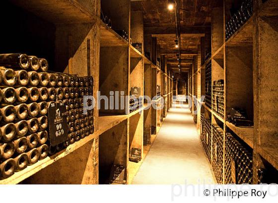 CAVE PATRIARCHE, A BEAUNE,  VINS DE BOURGOGNE, COTE D' OR. (21F01725.jpg)