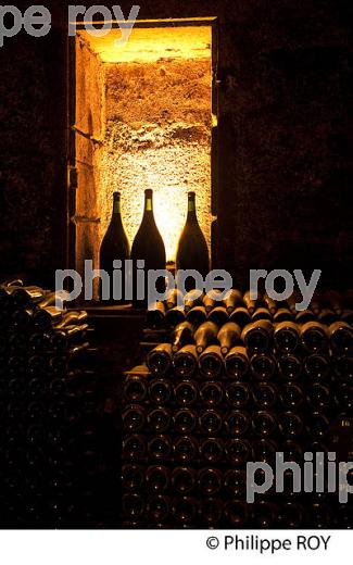 CAVE PATRIARCHE, A BEAUNE,  VINS DE BOURGOGNE, COTE D' OR. (21F01731.jpg)