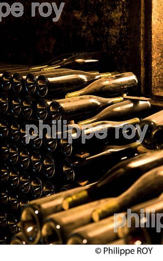 CAVE PATRIARCHE, A BEAUNE,  VINS DE BOURGOGNE, COTE D' OR. (21F01733.jpg)