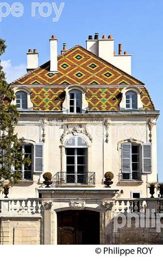 TUILES VERNISSEES,HOTEL PARTICULIER ,VIEILLE  VILLE DE DIJON, COTE D'OR, BOURGOGNE. (21F03133.jpg)