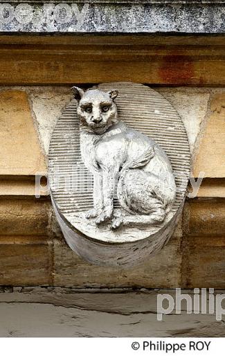 SCULPTURE DE CHAT, HOTEL PARTICULIER ,VIEILLE  VILLE DE DIJON, COTE D'OR, BOURGOGNE. (21F03424.jpg)