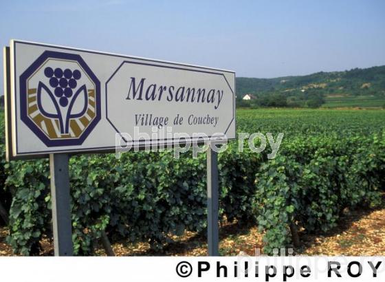 Vignoble de Bourgogne (21V00101.jpg)