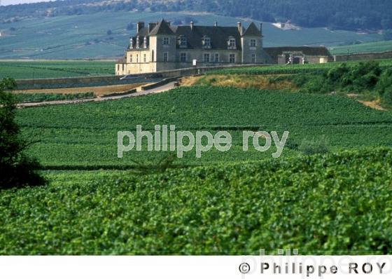 Le vignoble de Bourgogne (21V00129.jpg)