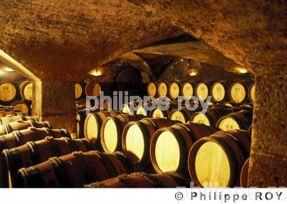Le vignoble de Bourgogne (21V00201.jpg)