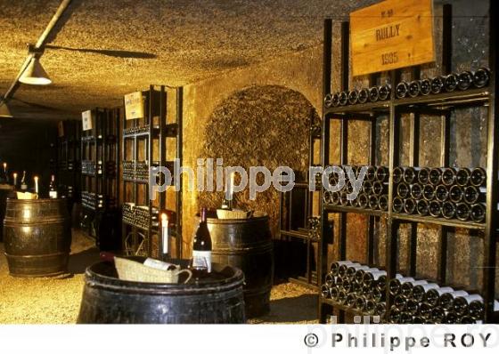 Le vignoble de Bourgogne (21V00202.jpg)