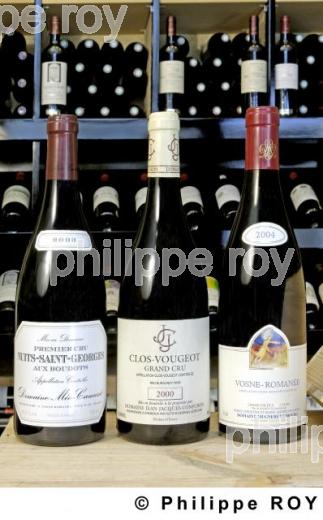 Le vignoble de Bourgogne (21V00209.jpg)
