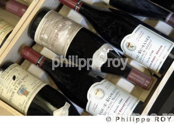 Le vignoble de Bourgogne (21V00210.jpg)