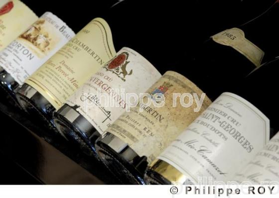 Le vignoble de Bourgogne (21V00212.jpg)