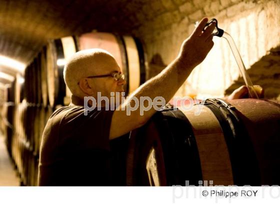 Dgustation - Vins de Bourgogne (21V00216.jpg)