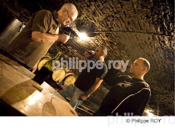 Dgustation - Vins de Bourgogne (21V00218.jpg)
