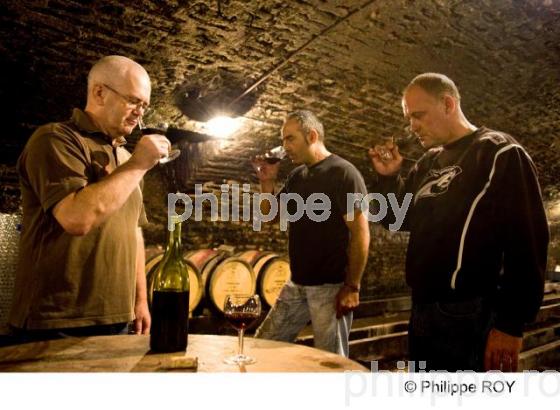Dgustation - Vins de Bourgogne (21V00219.jpg)