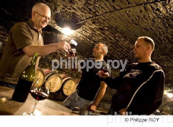 Dgustation - Vins de Bourgogne (21V00220.jpg)