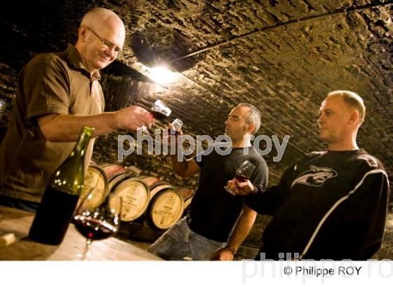 Dgustation - Vins de Bourgogne (21V00221.jpg)