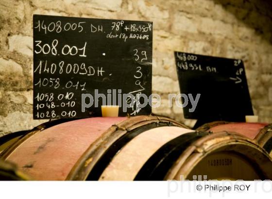 Chai - Vins de Bourgogne (21V00227.jpg)