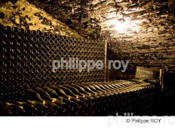 Cave - Vins de Bourgogne (21V00228.jpg)