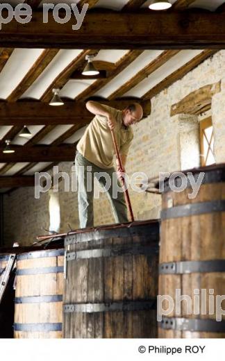 Pigeage - Vins de Bourgogne (21V00232.jpg)
