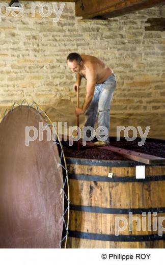 Pigeage - Vins de Bourgogne (21V00233.jpg)